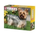 Yorkies 2024 6.2 X 5.4 Box Calendar - Book