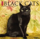 Just Black Cats 2024 7 X 7 Mini Wall Calendar - Book