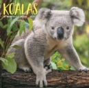 Koala Bears 2024 7 X 7 Mini Wall Calendar - Book