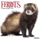 Ferrets 2024 12 X 12 Wall Calendar - Book