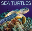 Sea Turtles 2024 12 X 12 Wall Calendar - Book