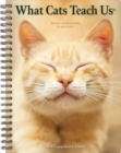 What Cats Teach Us 2024 6.5 X 8.5 Engagement Calendar - Book
