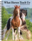 What Horses Teach Us 2024 6.5 X 8.5 Engagement Calendar - Book