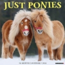 Ponies 2024 12 X 12 Wall Calendar - Book