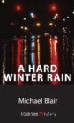 A Hard Winter Rain : A Joe Shoe Mystery - Book