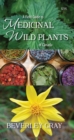 A Field Guide to Medicinal Wild Plants of Canada - eBook