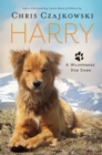 Harry : A Wilderness Dog Saga - Book