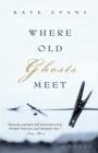 Where Old Ghosts Meet - Book