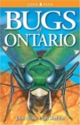 Bugs of Ontario - Book