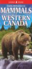 Quick Reference to Mammals of Western Canada - Book