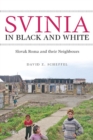 Svinia in Black and White : Slovak Roma and their Neighbours - Book