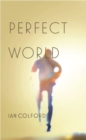 Perfect World - Book