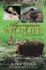 Algonquin Wildlife : Lessons in Survival - eBook