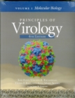 Principles of Virology : Volume 1: Molecular Biology - Book