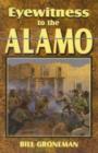 Eyewitness to the Alamo - Book