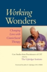 Working Wonders : Changing Lives with CranioSacral Therapy - Book