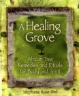 A Healing Grove : African Tree Remedies and Rituals for the Body and Spirit - Book