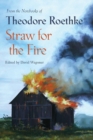 Straw for the Fire : From the Notebooks of Theodore Roethke - Book