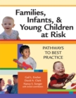 Families, Infants and Young Children at Risk : Pathways to Best Practice - Book