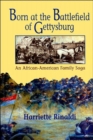 Born at the Battlefield of Gettysburg : An African-American Family Saga - Book