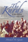 The Kurds : A Modern History - Book