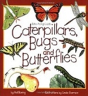 Caterpillars, Bugs and Butterflies : Take-Along Guide - Book
