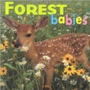 Forest Babies - Book