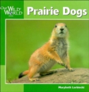 Prairie Dogs - Book