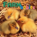 Farm Babies - Book