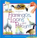 Flamingos, Loons & Pelicans - Book