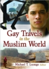 Gay Travels in the Muslim World - Book