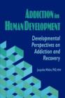Addiction in Human Development : Developmental Perspectives on Addiction and Recovery - Book