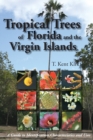 Tropical Trees of Florida and the Virgin Islands : A Guide to Identification, Characteristics and Uses - Book