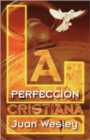 La Perfeccion Cristiana - Book