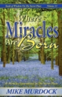 Where Miracles Are Born (Seeds Of Wisdom on The Secret Place, Volume 13) - Book
