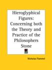 Hieroglyphical Figures : Concerning Both the Theory and Practice of the Philosophers Stone (1624) - Book