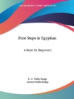 First Steps in Egyptian : A Book for Beginners (1895) - Book