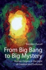 From Big Bang to Big Mystery : Human Origins in the Light of Creation and Evolution - Book