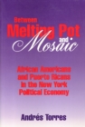 Between Melting Pot and Mosaic - Book