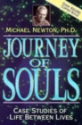Journey of Souls - Book