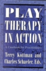 Play Therapy in Action : A Casebook for Practitioners - Book