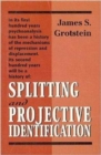 Splitting and Projective Identification - Book