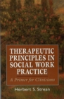 Therapeutic Principles in Social Work Practice : A Primer for Clinicians - Book