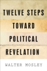 Twelve Steps Toward Political Revelation - Book
