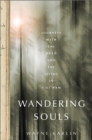 Wandering Souls : Journeys with the Dead and the Living in Viet Nam - Book