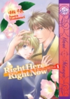 Right Here, Right Now Volume 1 (Yaoi) - Book