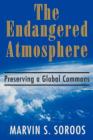 The Endangered Atmosphere : Preserving a Global Commons - Book