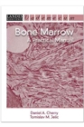 Bone Marrow : A Practical Manual - Book