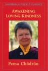 Awaken Loving-kindness - Book