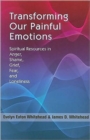 Transforming Our Painful Emotions : Spiritual Resources in Anger, Shame, Grief, Fear and Loneliness - Book